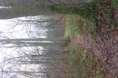 Forêt de Hez-Froidmont